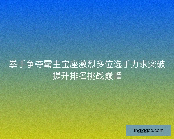 拳手争夺霸主宝座激烈多位选手力求突破提升排名挑战巅峰 拳手争夺霸主宝座激烈多位选手力求突破提升排名挑战巅峰